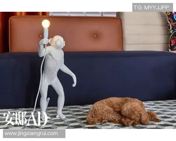 篮球明星同款拖鞋让你在家也能感受赛场风范，舒适时尚兼具的理想选择